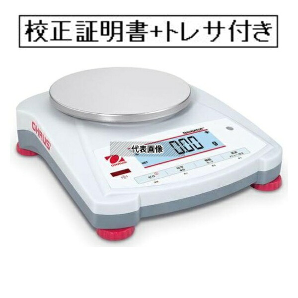 緑であること活動の領域