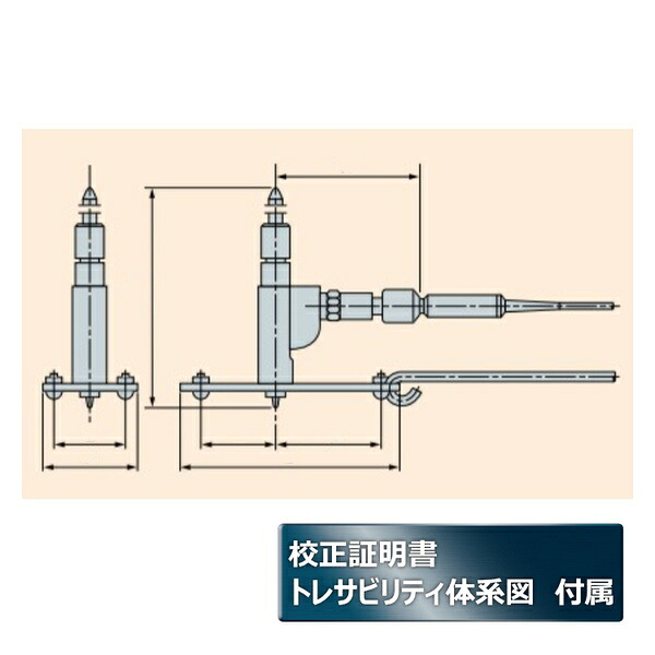緑であること活動の領域