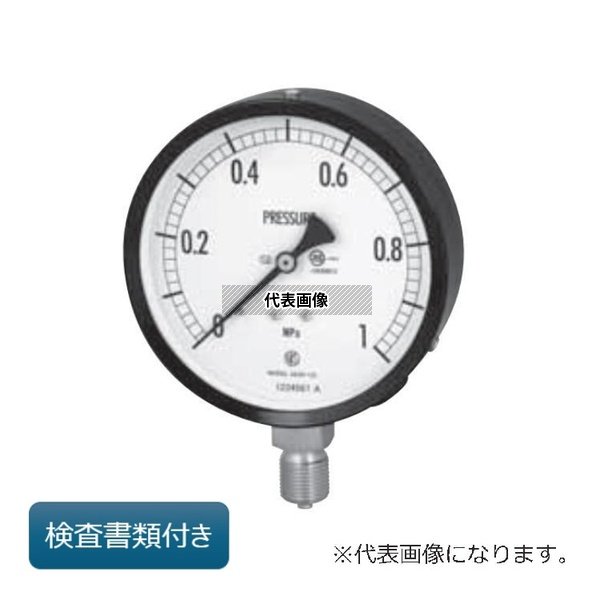長野計器 普通形圧力計(立形 A枠・φ100 検査(校正)書類付き) AE20-141-MX2MPA-GK 外部校正|ファーストFACTORY