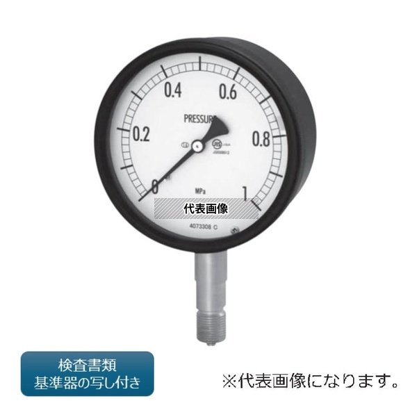 緑であること活動の領域