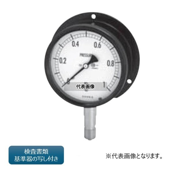 緑であること活動の領域