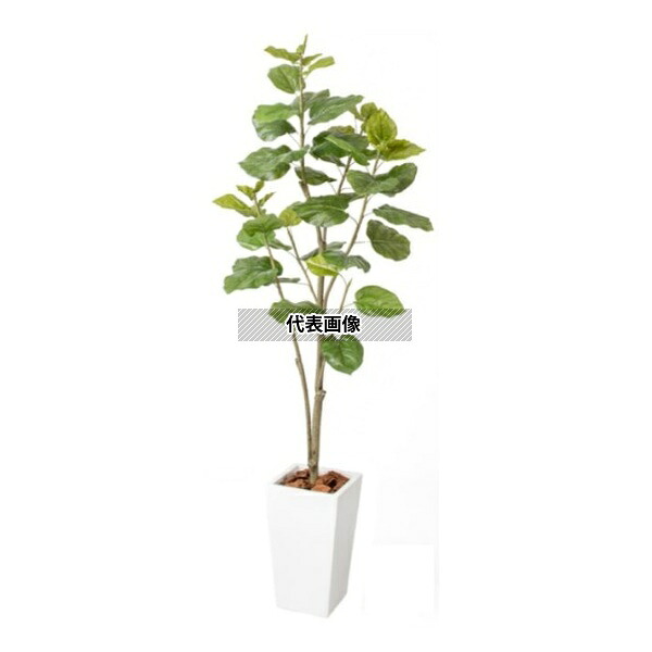 タカショー GD-230S 33384400 ウンベラータ 1.8m 室内用 観葉植物 人工植物 GD-230S [法人限定]｜ファーストFACTORY