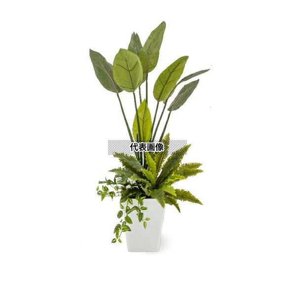 タカショー GD-241 32990800 ストレリチア 寄植付 1.2m 室内用 観葉植物 人工植物 リビング 間仕切り 目隠し GD-241 [法人限定]｜ファーストFACTORY