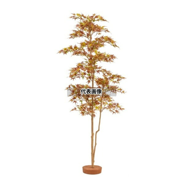 タカショー GD-243S 33410000 紅葉もみじ 鉢無 1.5m 室内用 和風もみじ 人工植物 GD-243S [法人限定]｜ファーストFACTORY