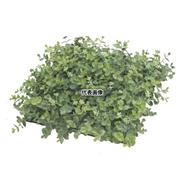 タカショー GN-108 33382000 ユーカリマット 27cm×27cm 室内用人工植物 フェイクグリーン 人工苔 コケ GN-108 [法人限定]