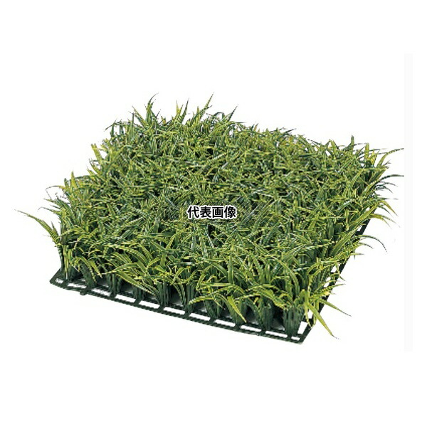 タカショー GN-20 21591100 リューノヒゲセット 27cm×27cm 室内用人工植物 フェイクグリーン 人工苔 コケ GN-20 [法人限定]