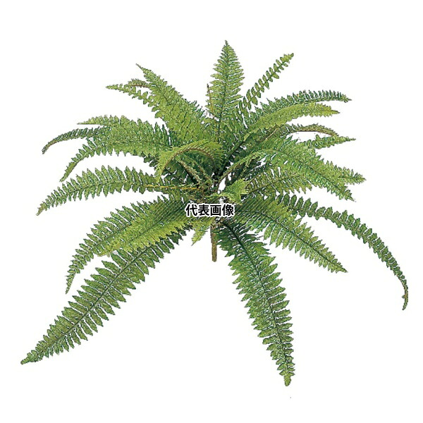 タカショー GN-45L 21685700 クイックボストン大 W60cm 観葉植物 人工植物 坪庭や鉢植えの下草に GN-45L [法人限定]