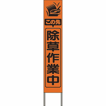 緑であること活動の領域