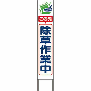 緑であること活動の領域