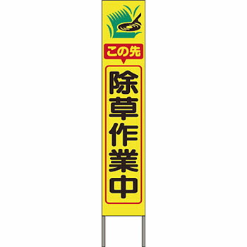 緑であること活動の領域