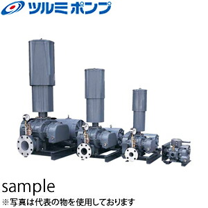 緑であること活動の領域