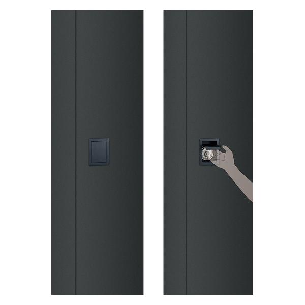 緑であること活動の領域