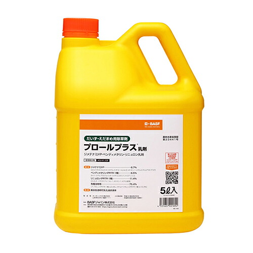 緑であること活動の領域