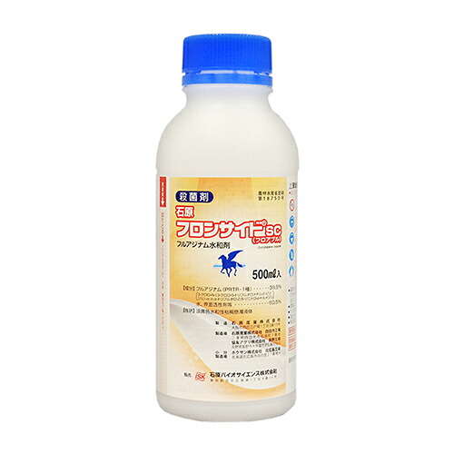 緑であること活動の領域