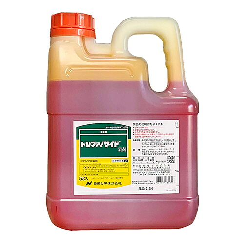 緑であること活動の領域