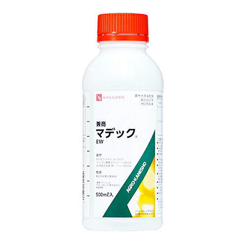 緑であること活動の領域