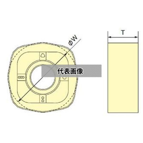 緑であること活動の領域