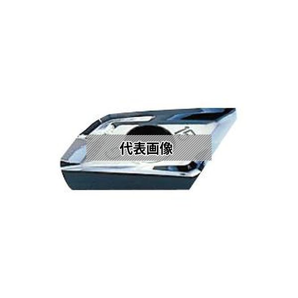 緑であること活動の領域