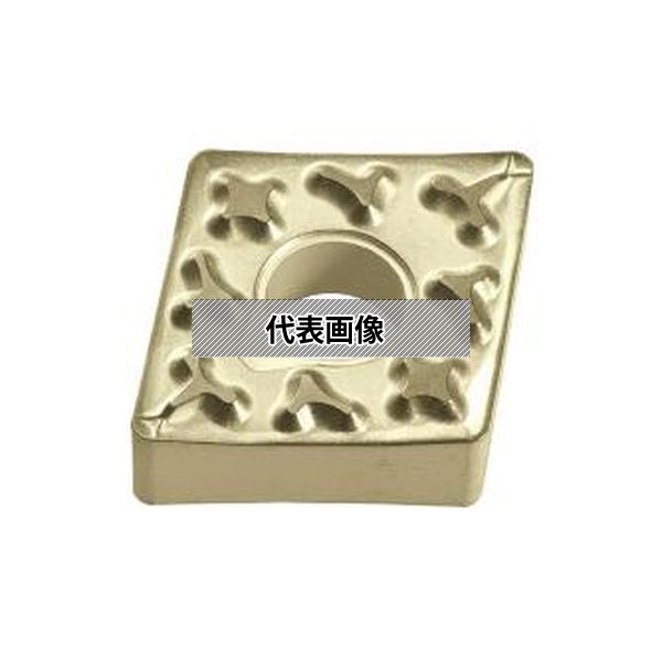 緑であること活動の領域