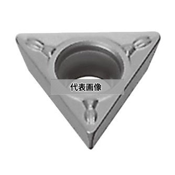 緑であること活動の領域