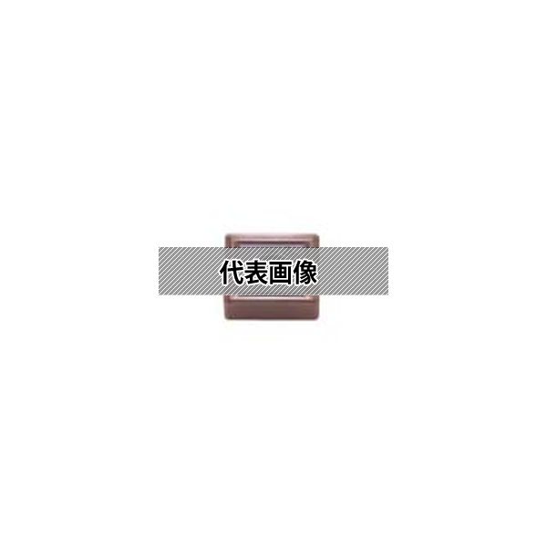 緑であること活動の領域
