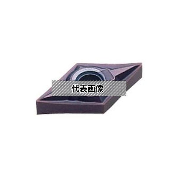 緑であること活動の領域
