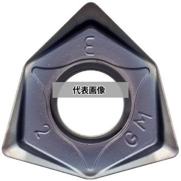 緑であること活動の領域