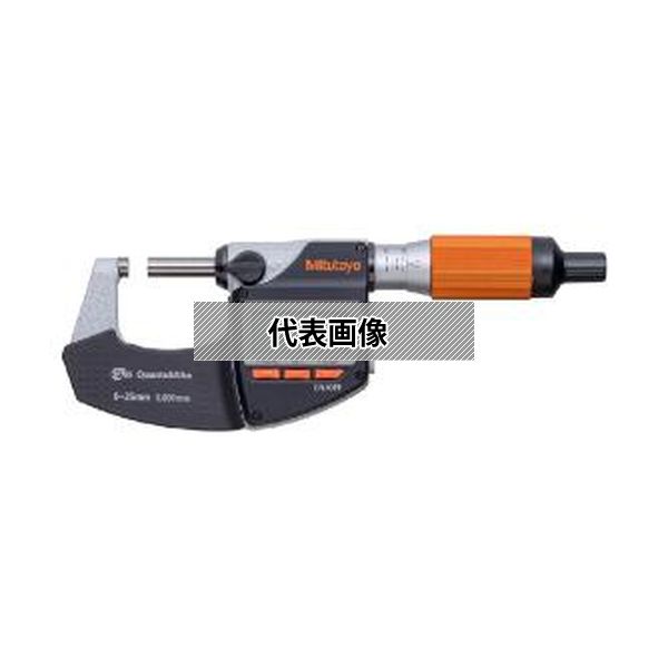 緑であること活動の領域
