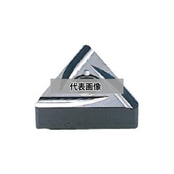 緑であること活動の領域