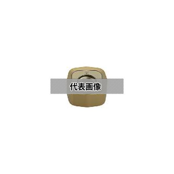緑であること活動の領域