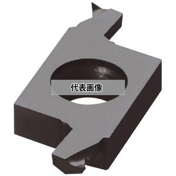 緑であること活動の領域