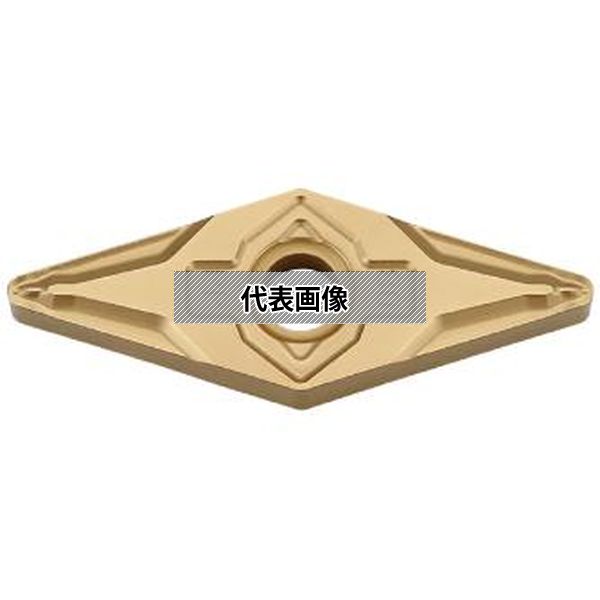 緑であること活動の領域 DIY・工具-その他