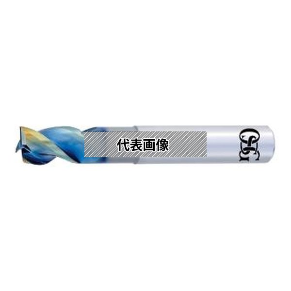 緑であること活動の領域