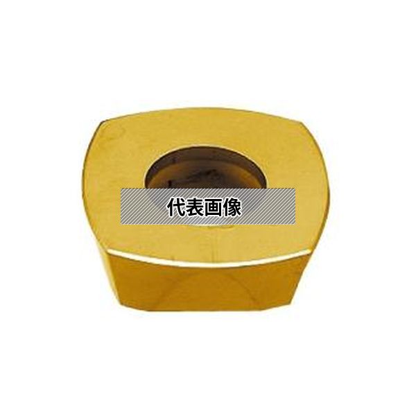 (株)ＭＯＬＤＩＮＯ カッタ用インサート 10個入 SDNW1205ZDTN-R15 CY250