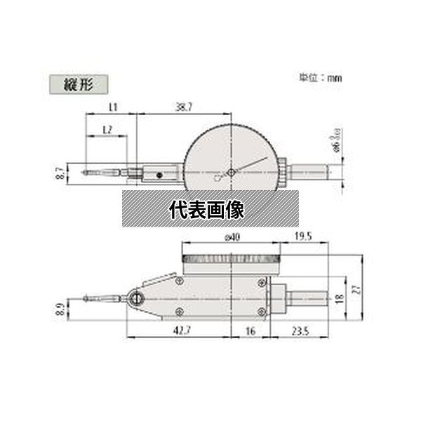 緑であること活動の領域