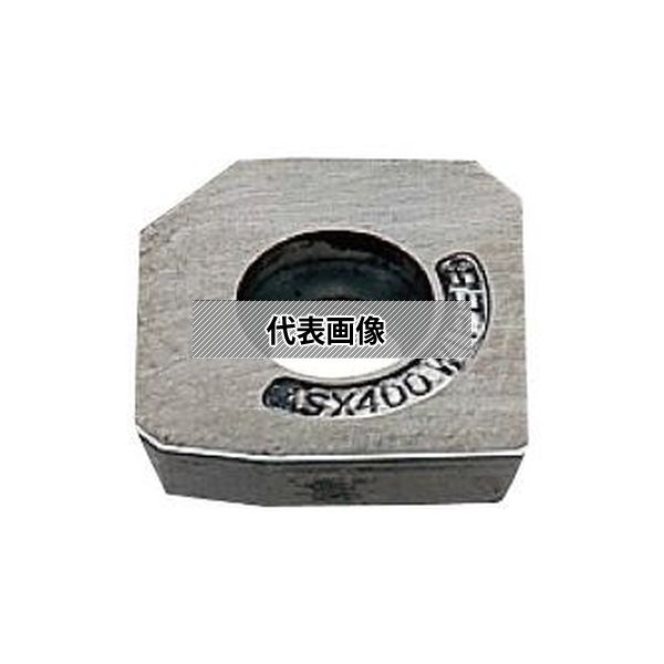 緑であること活動の領域 DIY・工具-その他-花・ガーデン・DIY