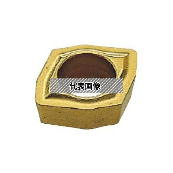 緑であること活動の領域