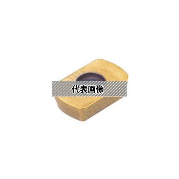 緑であること活動の領域