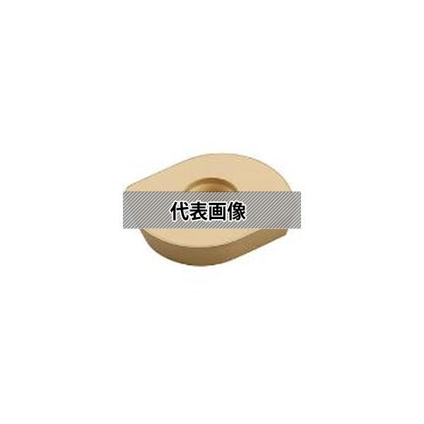 緑であること活動の領域