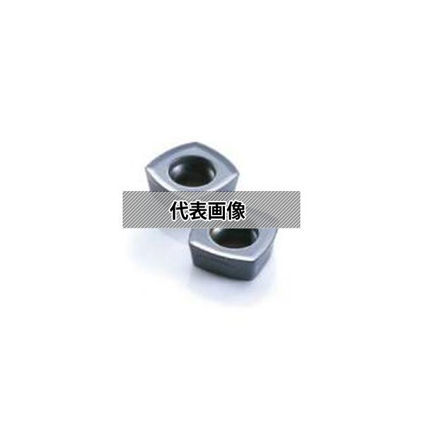 緑であること活動の領域