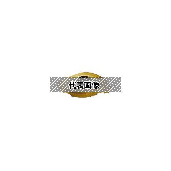 (株)ＭＯＬＤＩＮＯ カッタ用インサート 10個入 ZCEW200CE CY250