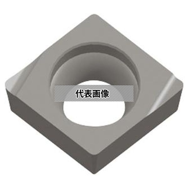 緑であること活動の領域