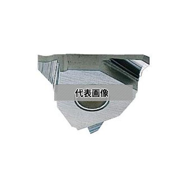 緑であること活動の領域