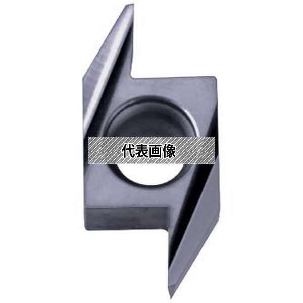 緑であること活動の領域