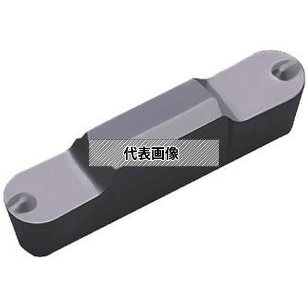 緑であること活動の領域