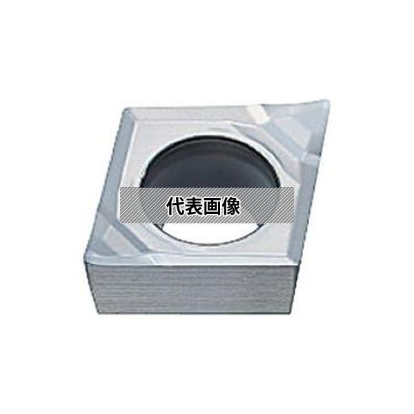緑であること活動の領域