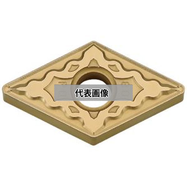 緑であること活動の領域