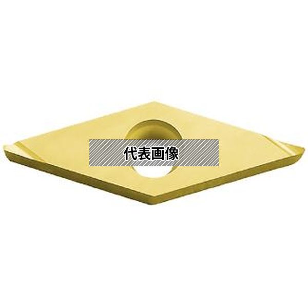緑であること活動の領域