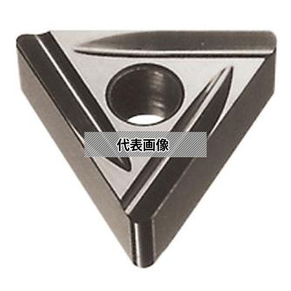 緑であること活動の領域