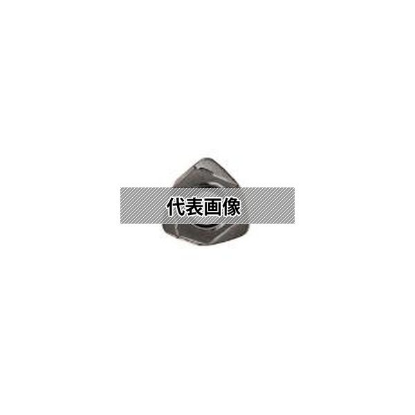 緑であること活動の領域